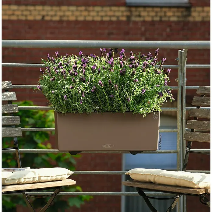 Lechuza Color Balkonkasten Balconera - Max. Außenlänge: 50 cm, Kunststoff, Muskat - Ein Lechuza-Balkonkasten mit üppigem Lavendel, befestigt an einem grauen Balkongeländer, umgeben von zwei Stühlen mit Kissen.