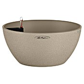 Lechuza Color Pflanzschale Cubeto (39,5 x 18,3 cm, Kunststoff, Sandbeige)