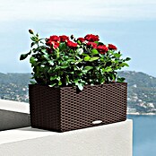 Lechuza Cottage Balkonkasten (Länge: 50 cm, Mokka)