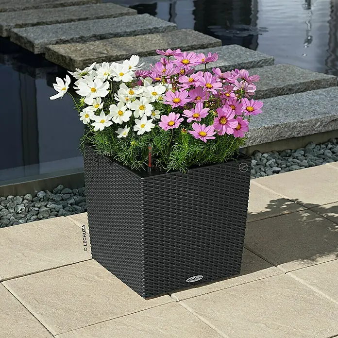 Lechuza Cottage Pflanzkübel eckig Cube - Außenmaß (L x B x H): 30 x 30 x 30 cm, Kunststoff, Granit - Der Lechuza Cube Pflanzkübel in Anthrazit mit einer bunten Blumenbepflanzung, ideal für Garten, Terrasse oder Balkon.