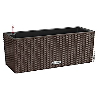 Lechuza Cottage Balkonkasten Balconera (Max. Außenlänge: 50 cm, Kunststoff, Mokka)