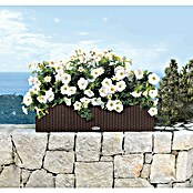 Lechuza Cottage Balkonkasten Balconera (Länge: 80 cm, Mokka)