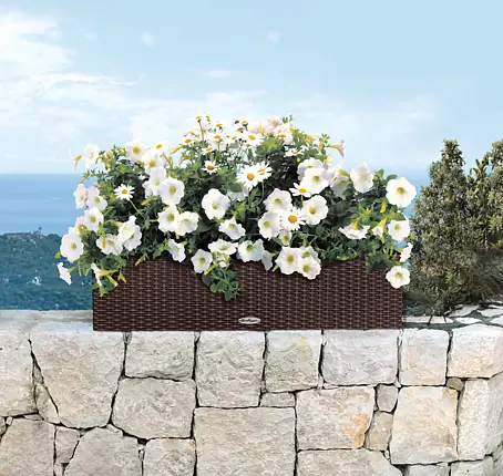 Blumenksten mit Wasserspeicher online kaufen bei BAUHAUS