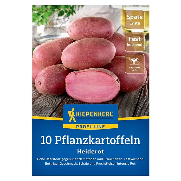 Kiepenkerl Profi-Line Pflanzkartoffeln Heiderot - Solanum tuberosum, 10 Stk., Erntezeit: September - Bild von Kiepenkerl Heiderot Pflanzkartoffeln, ideal für späte Ernte und bekannt für ihre Resistenz und den buttrigen Geschmack.