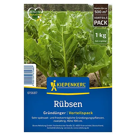 Kiepenkerl  Gründüngung Rübsen
