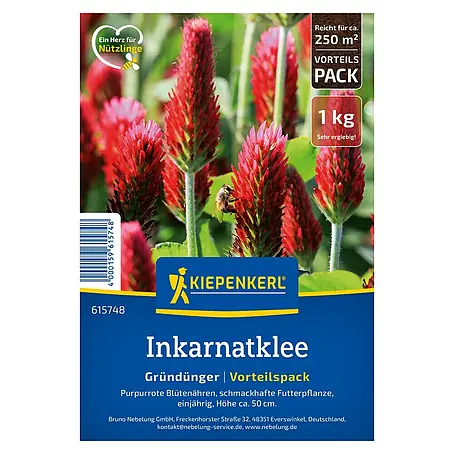 Kiepenkerl  Gründüngung Inkarnatklee