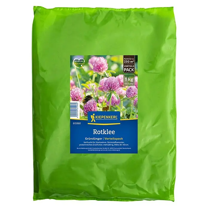 Kiepenkerl Gründüngung Rotklee - Trifolium pratense, 250 m² - Packung Rotklee-Gründünger von Kiepenkerl. Vorteilspack für ca. 250 m², 1 kg, sehr ergiebig. Vorfrucht für Starkzehrer und Stickstoffsammler.