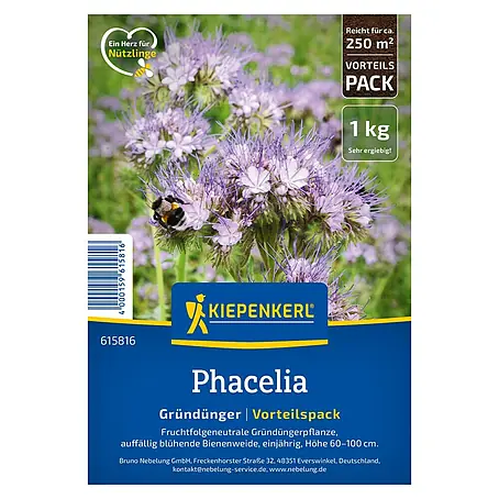 Kiepenkerl  Gründüngung Phacelia