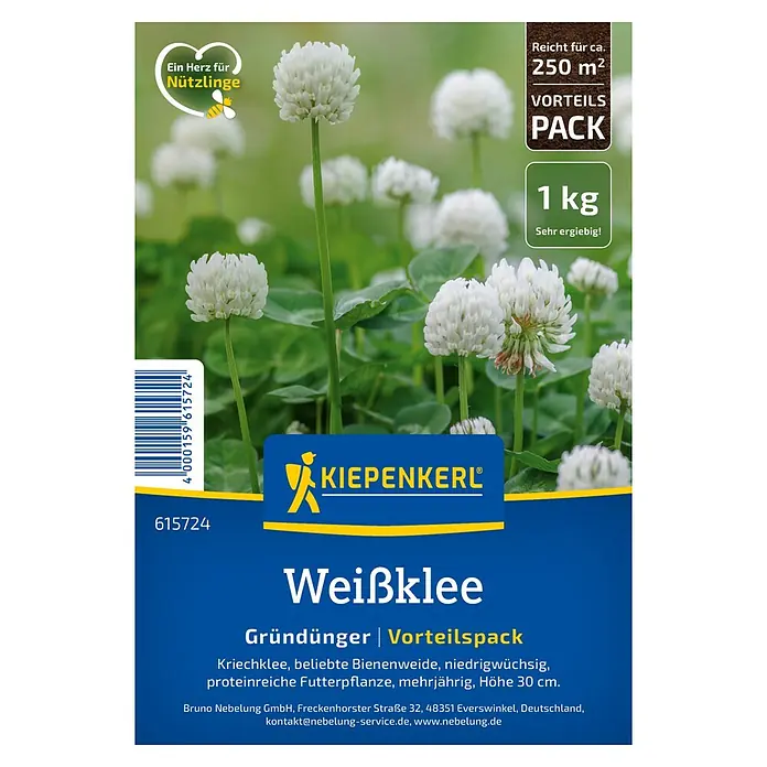 Kiepenkerl Gründüngung Weißklee - Trifolium repens, 100 m² - Bild einer Packung Weißklee-Samen von Kiepenkerl, ideal zur Gründüngung und als Bienenweide.