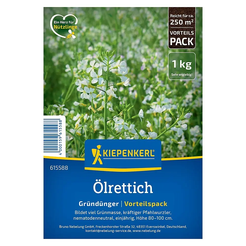 Kiepenkerl Grndngung lrettich - 1 kg, raphanus sativus, 50 m online  kaufen bei BAUHAUS
