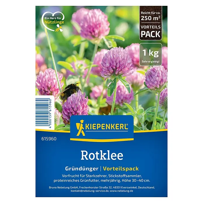 Kiepenkerl Gründüngung Rotklee - Trifolium pratense, 250 m² - Bild der KIEPENKERL Rotklee-Samenpackung, ideal als Gründünger und zur Bodenverbesserung, mit dem Versprechen einer reichen Ernte.