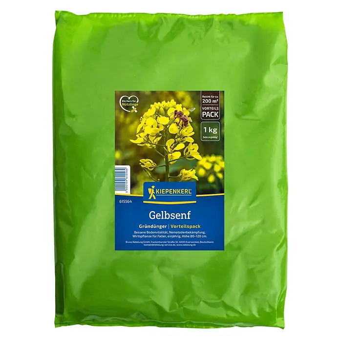 Kiepenkerl Gründüngung Gelbsenf - 200 m², 1 kg - Gelbsenf-Gründünger von Kiepenkerl im 1 kg Vorteilspack: Bessere Bodenvitalität und Nematodenbekämpfung. Ideal für Falter!