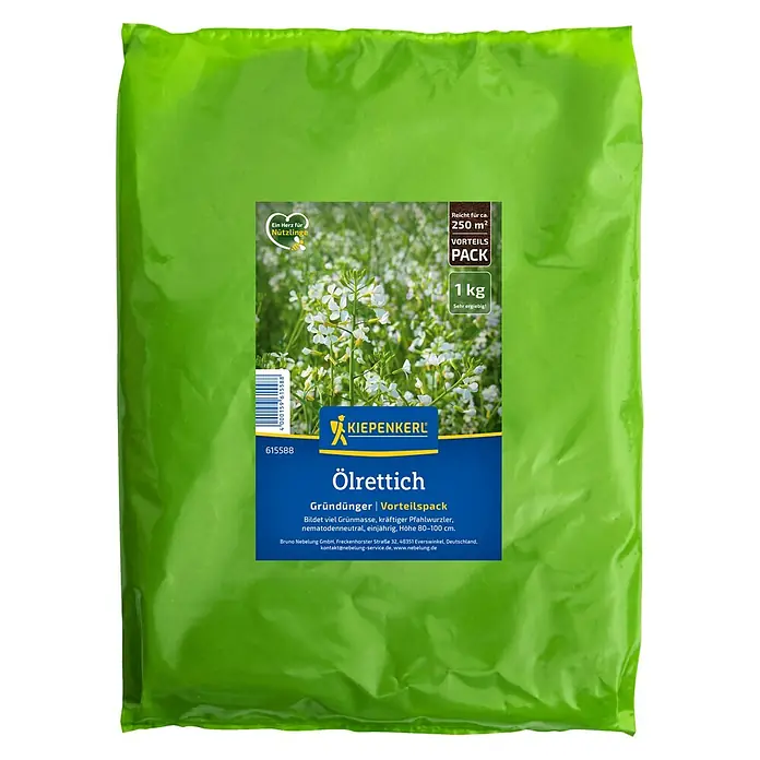 Kiepenkerl Gründüngung Ölrettich - 1 kg, raphanus sativus, 50 m² - Ölrettich-Gründünger von Kiepenkerl im 1kg-Vorteilspack. Reicht für ca. 250 m², bildet Grünmasse und ist nematodenneutral. Ideal zur Bodenverbesserung.