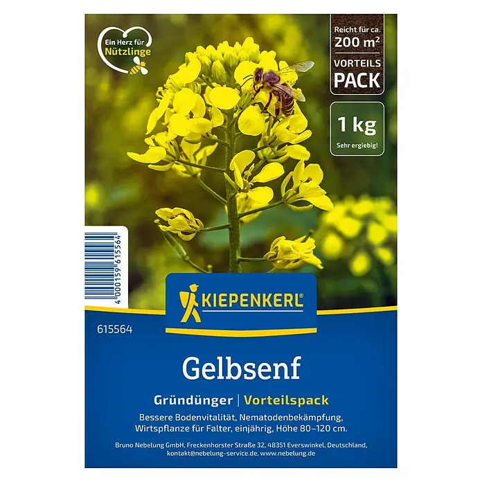 Kiepenkerl Gründüngung Gelbsenf - 200 m², 1 kg - Gelbsenf-Saatgut von Kiepenkerl: Gründünger zur Bodenverbesserung, Nematodenbekämpfung und als Futterpflanze für Schmetterlinge. Vorteils-Pack für ca. 200 m².