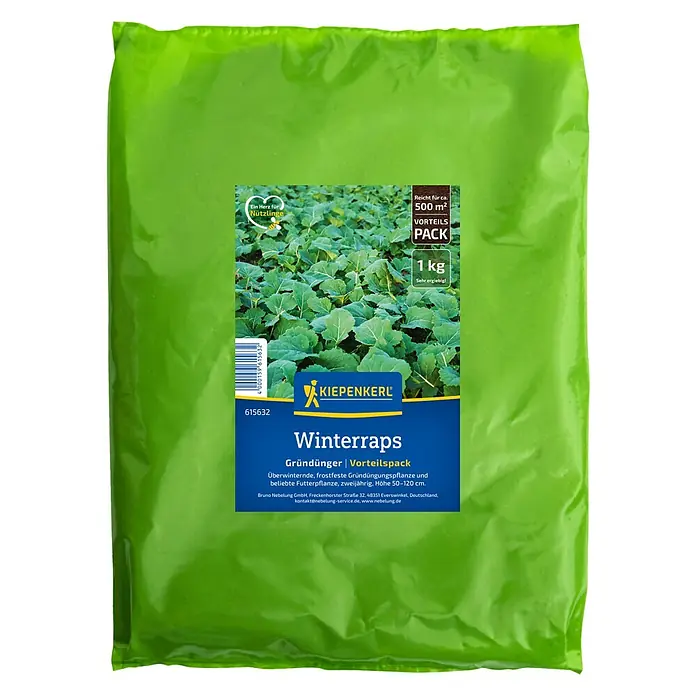 Kiepenkerl Gründüngung Winterraps - Brassica napus - Eine Packung Winterraps Gründünger der Marke Kiepenkerl, ein Vorteilspack für ca. 500 m², ideal als frostfeste Futterpflanze.