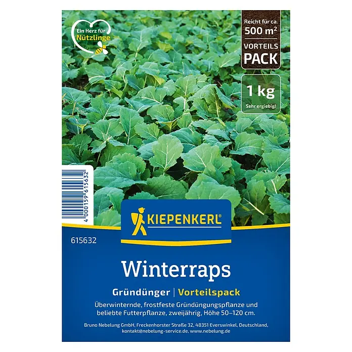 Kiepenkerl Gründüngung Winterraps - Brassica napus - Winterraps-Gründünger von Kiepenkerl im Vorteilspack. Ideal zur Bodenverbesserung und als Futterpflanze, reicht für ca. 500 m².