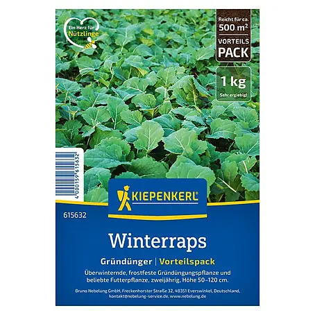 Kiepenkerl  Gründüngung Winterraps