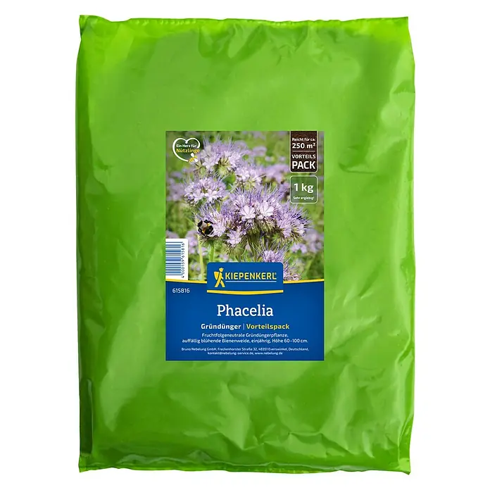 Kiepenkerl Gründüngung Phacelia - Phacelia tanacetifolia, 250 m² - Phacelia Gründünger Vorteilspack von Kiepenkerl. Einjährig, blühende Bienenweide, Höhe 60-100cm, reicht für ca. 250m², 1kg Packung für den Garten.