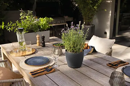 blumenstnder pflanzen Blumenstnder Pflanzen Stnder Regal Halter Treppe Gestell Blumentisch   Hermex.ch