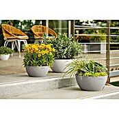 Lechuza Color Pflanzschale Cubeto (39,5 x 18,3 cm, Kunststoff, Steingrau)