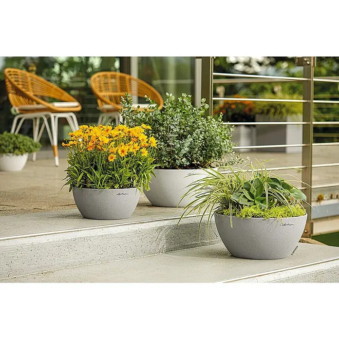 Lechuza Color Pflanzschale rund Cubeto - Außenmaß (Ø x H): 40 x 18,3 cm, Kunststoff, Steingrau - Mehrere LECHUZA Pflanzgefäße mit bunten Pflanzen auf einer Terrasse mit Stühlen.