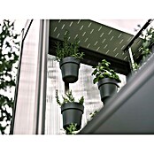 Biohort Florentina Einsatz Wetterschutz (Passend für: Biohort Florentina Gewächshaus, L x B x H: 30,2 x 50,2 x 4,7 cm) | BAUHAUS