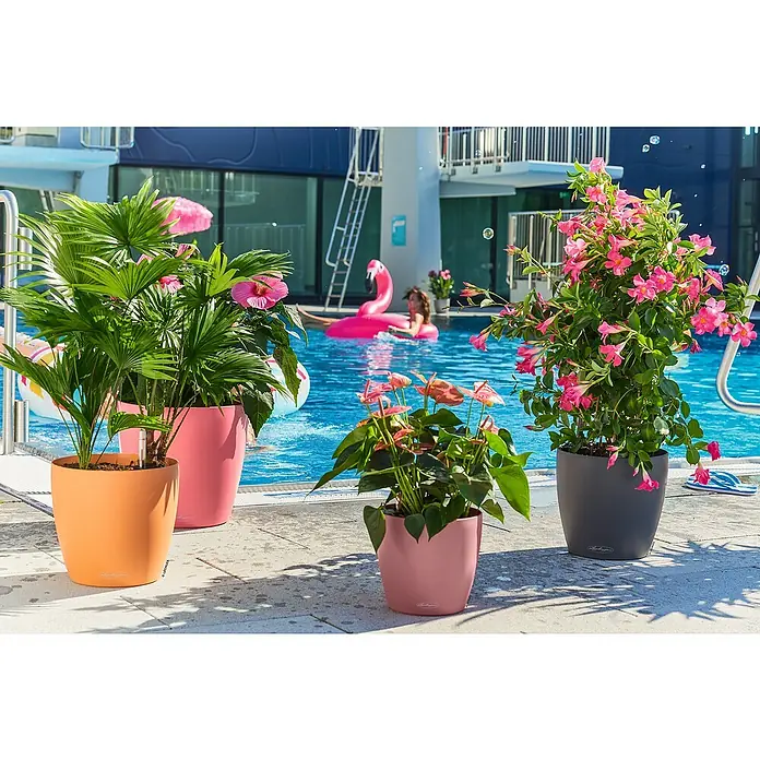 Lechuza Classico Pflanztopf Color - Außenmaß (Ø x H): 34,5 x 32,5 cm, Kunststoff, Schiefergrau - Bunte Lechuza Pflanzgefäße mit üppigen Pflanzen am Pool, die eine tropische und entspannte Atmosphäre schaffen. Perfekt für stilvolle Außenbereiche.