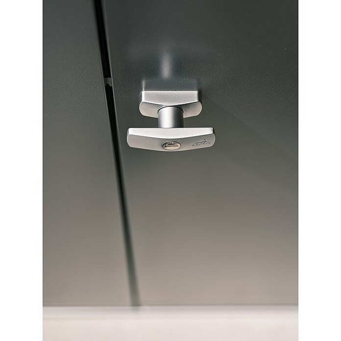 Biohort Geräteschrank (57 x 132 cm, Silber Metallic, Doppeltür)