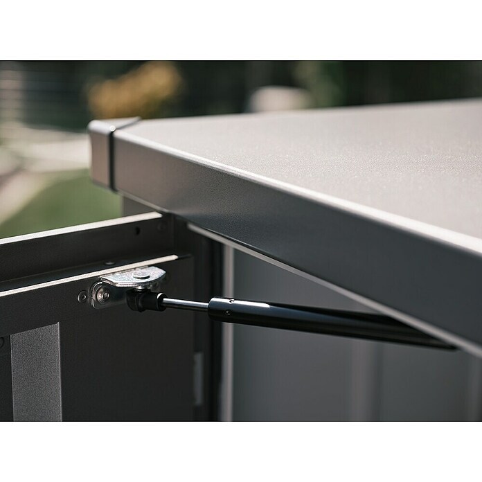 Biohort Geräteschrank (57 x 132 cm, Silber Metallic, Doppeltür)