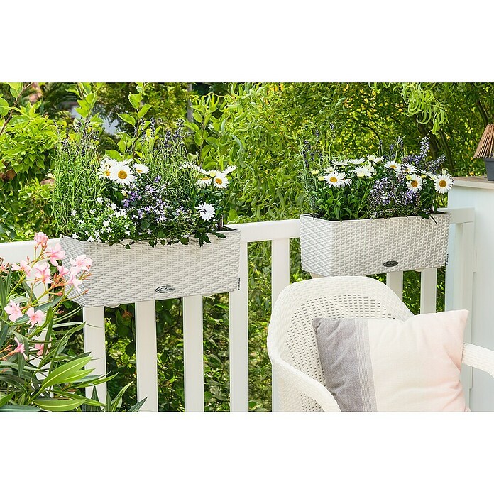 Lechuza Cottage Balkonkasten (Länge: 50 cm, Weiß)