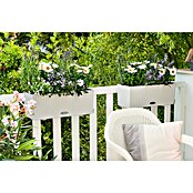 Lechuza Cottage Balkonkasten (Länge: 50 cm, Weiß)