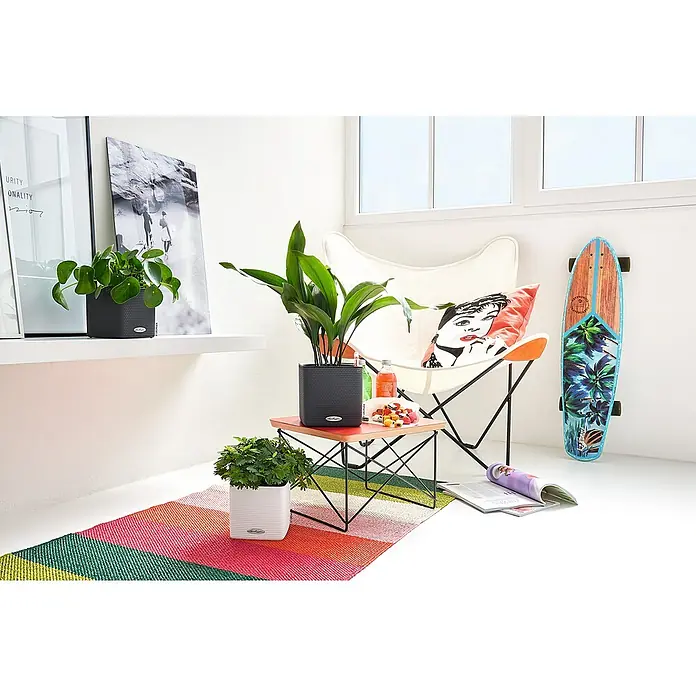 Lechuza Classico Kräutertopf Color - Außenmaß (L x B x H): 17 x 17 x 16 cm, Kunststoff, Schiefergrau - Bunte Inneneinrichtung mit Fokus auf einem Lechuza Pflanzgefäß, das auf einem kleinen Tisch neben einem Sessel mit Kissen steht.