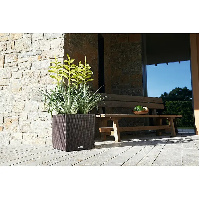 Lechuza Cottage Pflanzkübel eckig Cube - Außenmaß (L x B x H): 40 x 40 x 40 cm, Kunststoff, Mokka - Der braune LECHUZA-Pflanzkübel im Würfeldesign ist mit grünen Pflanzen bepflanzt und steht neben einer Holzbank vor einer Steinwand.