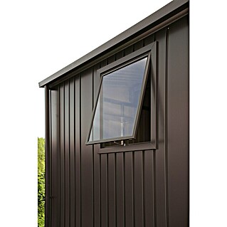 Biohort Kippfenster (Dunkelgrau Metallic, Passend für: Biohort HighLine, AvantGarde und Panorama Modelle)