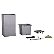 Lechuza Color Pflanzgefäß Canto (40 x 40 x 76 cm, Kunststoff, Steingrau)