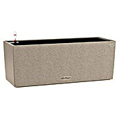 Lechuza Balconera Balkonkasten (Länge: 50 cm, Sandbeige)