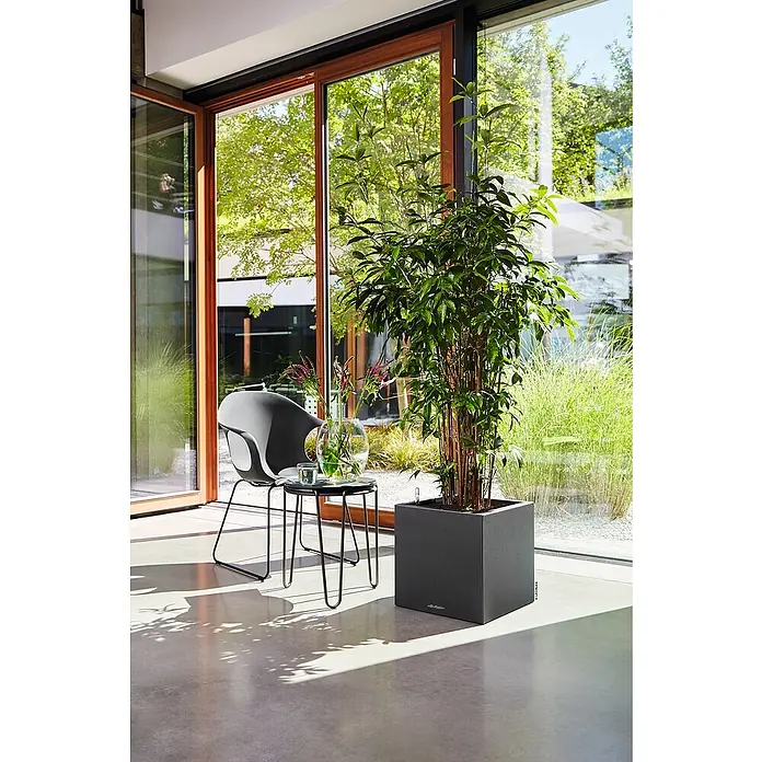 Lechuza Color Pflanzkasten Canto - Außenmaß (L x B x H): 40 x 40 x 41 cm, Kunststoff, Graphitschwarz - Zimmer mit großem Topf von Lechuza, Stuhl und Tisch in einem hellen Raum mit natürlichem Licht.