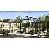 Vitavia Gewächshaus Dione 9900 (3,83 x 2,63 x 2,54 m, Glasstärke: 3 mm, Smaragd)