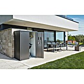 Biohort Romeo Gerätehaus Gr. L High (Außenmaß inkl. Dachüberstand (B x T): 132 x 87 cm, Stahl, Dunkelgra‑Metallic) | BAUHAUS