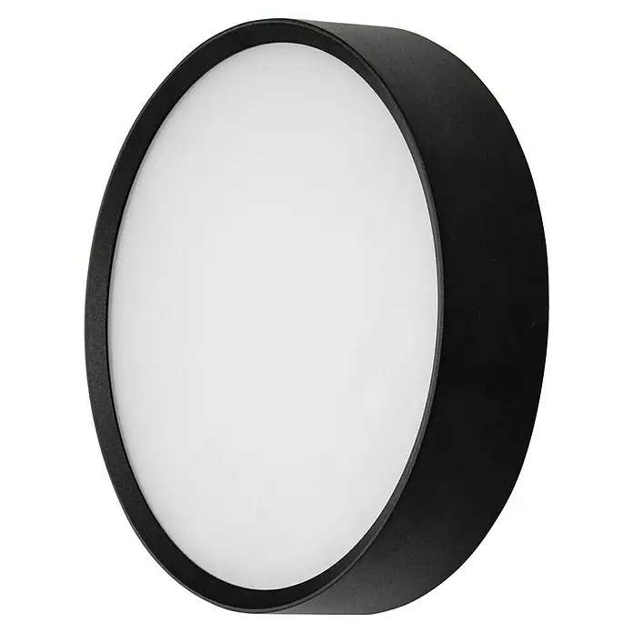 Brumberg LED-Wandleuchte rund - 12 W, Ø x H: 25 x 6 cm, Schwarz, Warmweiß - Nahaufnahme einer runden, mattschwarzen Deckenleuchte mit einem diffusen weißen Diffusor, ideal für moderne Innenräume.