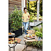 Lechuza Pflanzgefäß-Sockel Trio (Passend für: Lechuza Cottage Pflanzgefäß Trio)