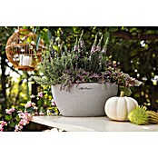 Lechuza Color Pflanzschale Cubeto (29,8 x 13,5 cm, Kunststoff, Steingrau)
