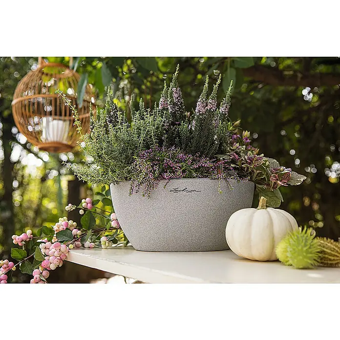Lechuza Color Pflanzschale rund Cubeto - Außenmaß (Ø x H): 30 x 13,5 cm, Kunststoff, Steingrau - Lechuza Pflanzgefäß mit Herbstblumen, weißem Kürbis und dekorativen Zweigen auf einem Tisch im Garten, für eine stimmungsvolle Herbstdekoration.