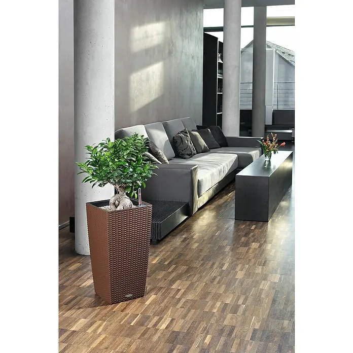 Lechuza Cottage Pflanzsäule eckig Cubico 30 - Außenmaß (L x B x H): 30 x 30 x 56,5 cm, Kunststoff, Mokka - Elegantes Interieur mit einem Fokus auf einem stilvollen, braunen Pflanzgefäß, das einen Bonsai-Baum beherbergt und die moderne Einrichtung ergänzt.