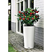 Lechuza Color Pflanzgefäß Cilindro (Ø x H: 32 x 56 cm, Kunststoff, Weiß)
