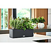Lechuza Color Balkonkasten Cube Triple (L x B: 40 x 14 cm, Granit)