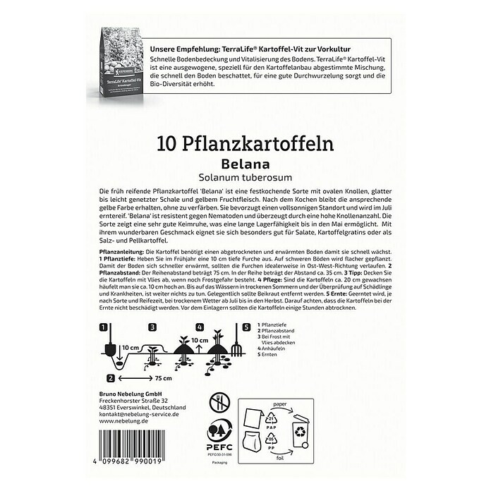 Kiepenkerl Pflanzkartoffeln Belana (Solanum tuberosum, 10 Stk., Erntezeit: August) | BAUHAUS