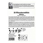 Kiepenkerl Pflanzkartoffeln Belana (Solanum tuberosum, 10 Stk., Erntezeit: August) | BAUHAUS