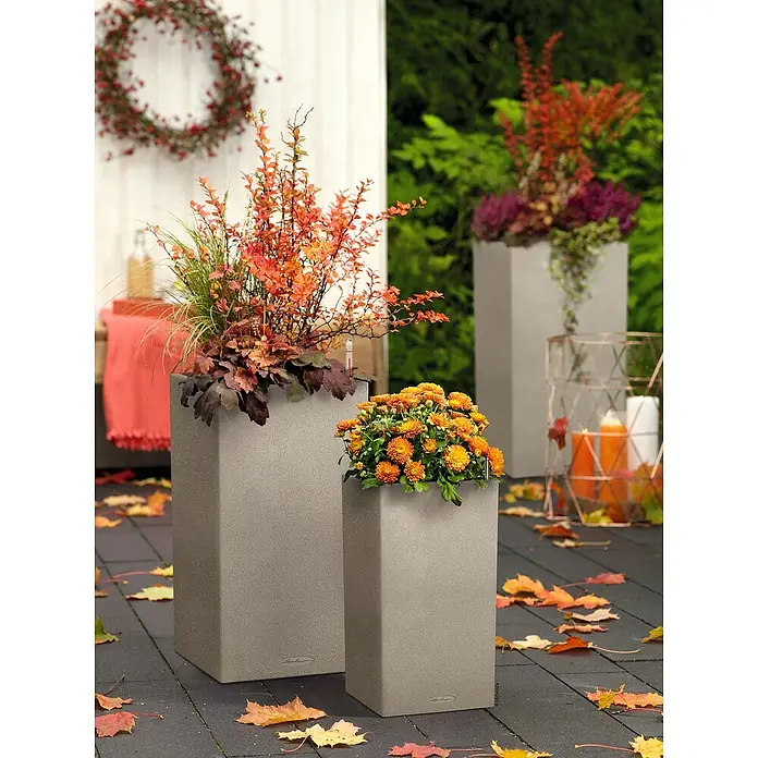 Lechuza Color Pflanzsäule eckig Canto - Außenmaß (L x B x H): 30 x 30 x 56 cm, Kunststoff, Sandbeige - Herbstliche Pflanzgefäße: Dekorative Blumenkübel in verschiedenen Größen mit saisonaler Bepflanzung und herabgefallenen Blättern für eine stimmungsvolle Atmosphäre.