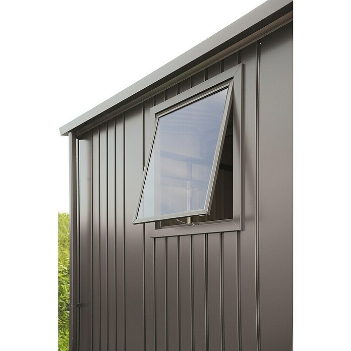 Biohort Fenster-Element Europa (Quarzgrau, Plexiglas®, Maße Fenster: 50 x 60 cm)